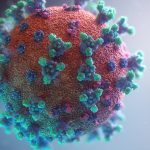 visualisation of the Covid-19 virus