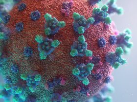 visualisation of the Covid-19 virus