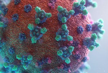 visualisation of the Covid-19 virus