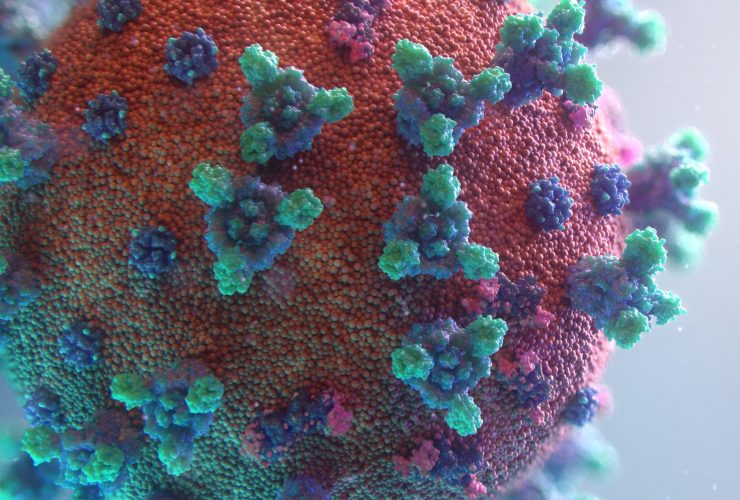 visualisation of the Covid-19 virus